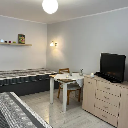 U Wisi Apartment Walbrzych Exterior photo