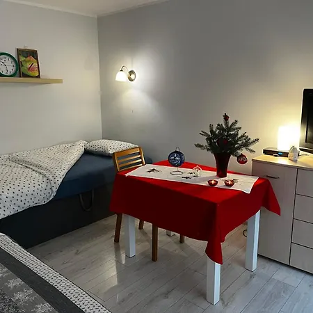 U Wisi Apartment Walbrzych Exterior photo